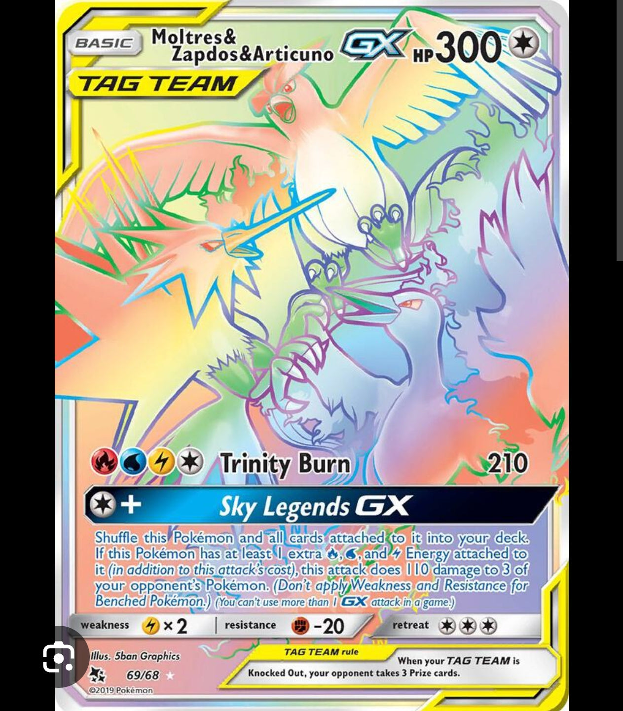 Rainbow Birds Gx